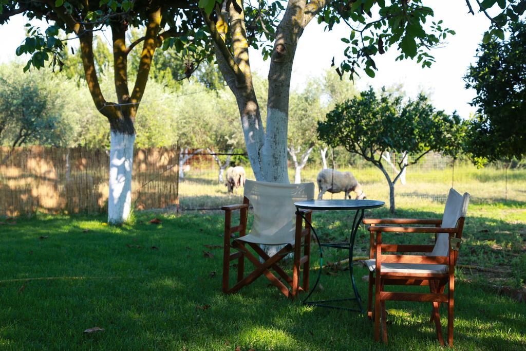 Spasmeni Vrisi Ligia Habitación foto