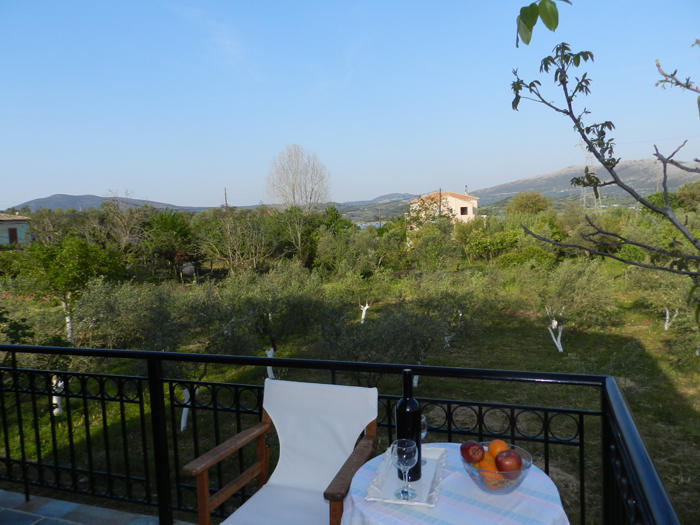 Spasmeni Vrisi Ligia Habitación foto